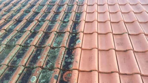 Spray and Wait Roof Cleaning